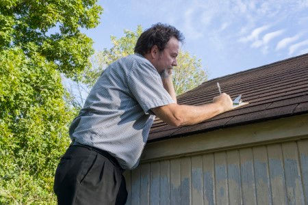 Chimney Inspections